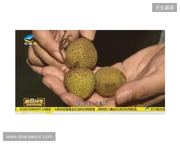 穆德里克因车窗贴膜颜色过深被拦下后，被发现禁驾期内驾驶